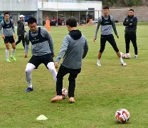 爱游戏- 李盈莹正式签约意甲米兰 